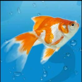 AquaLife 3D